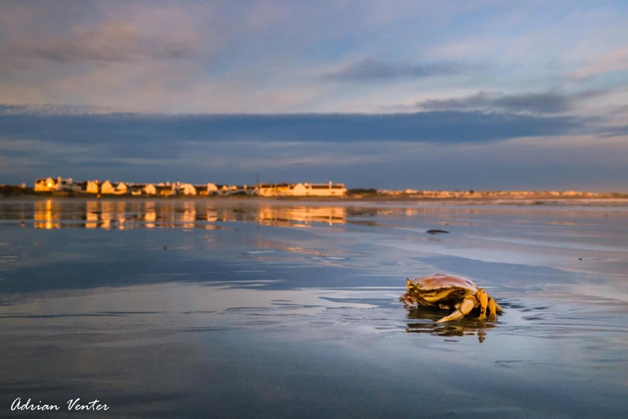Flamink Beach View Cottage In Paternoster Exteriér fotografie