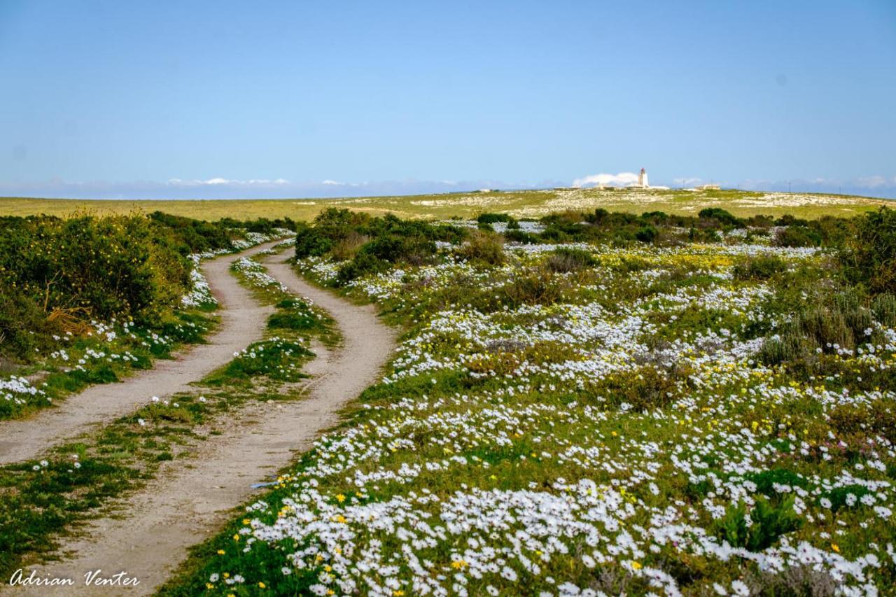 Flamink Beach View Cottage In Paternoster Exteriér fotografie