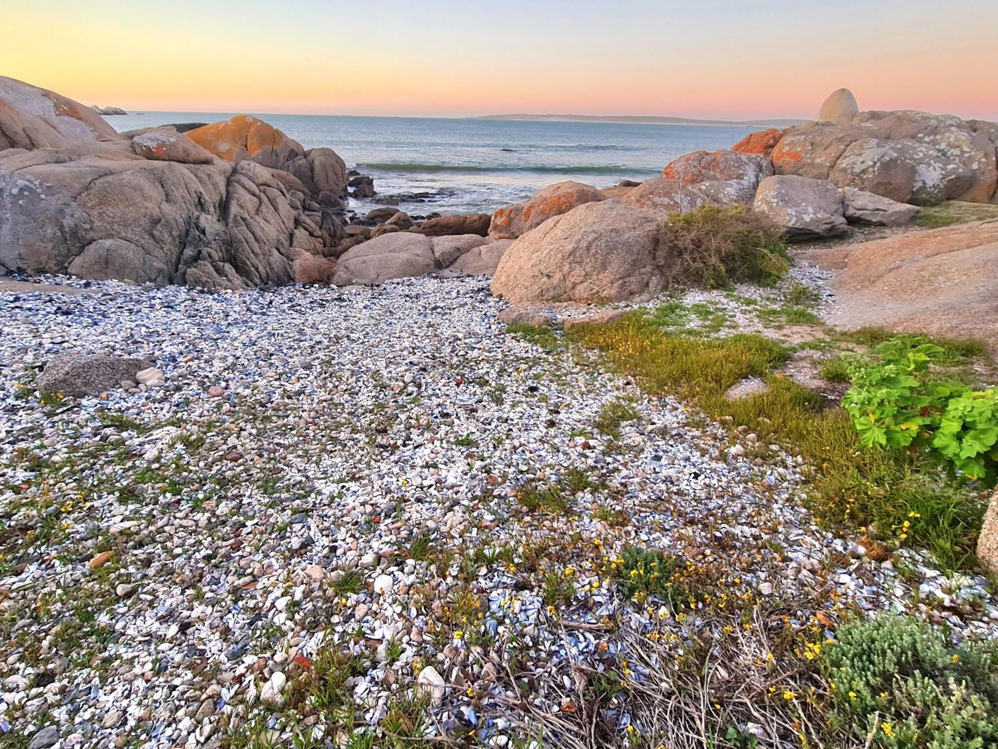 Flamink Beach View Cottage In Paternoster Exteriér fotografie